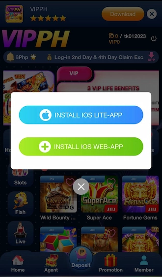 Step 2: select the INSTALL IOS LITE-APP section